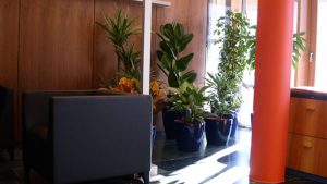 Feng Shui Referenz Raika Bruneck