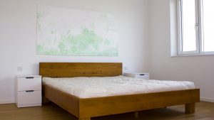 Feng Shui Referenz Wohnung Burgenland